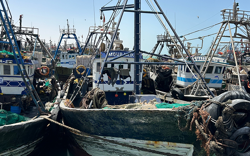 _0021_Vessel Picture - MOUBARIK 2